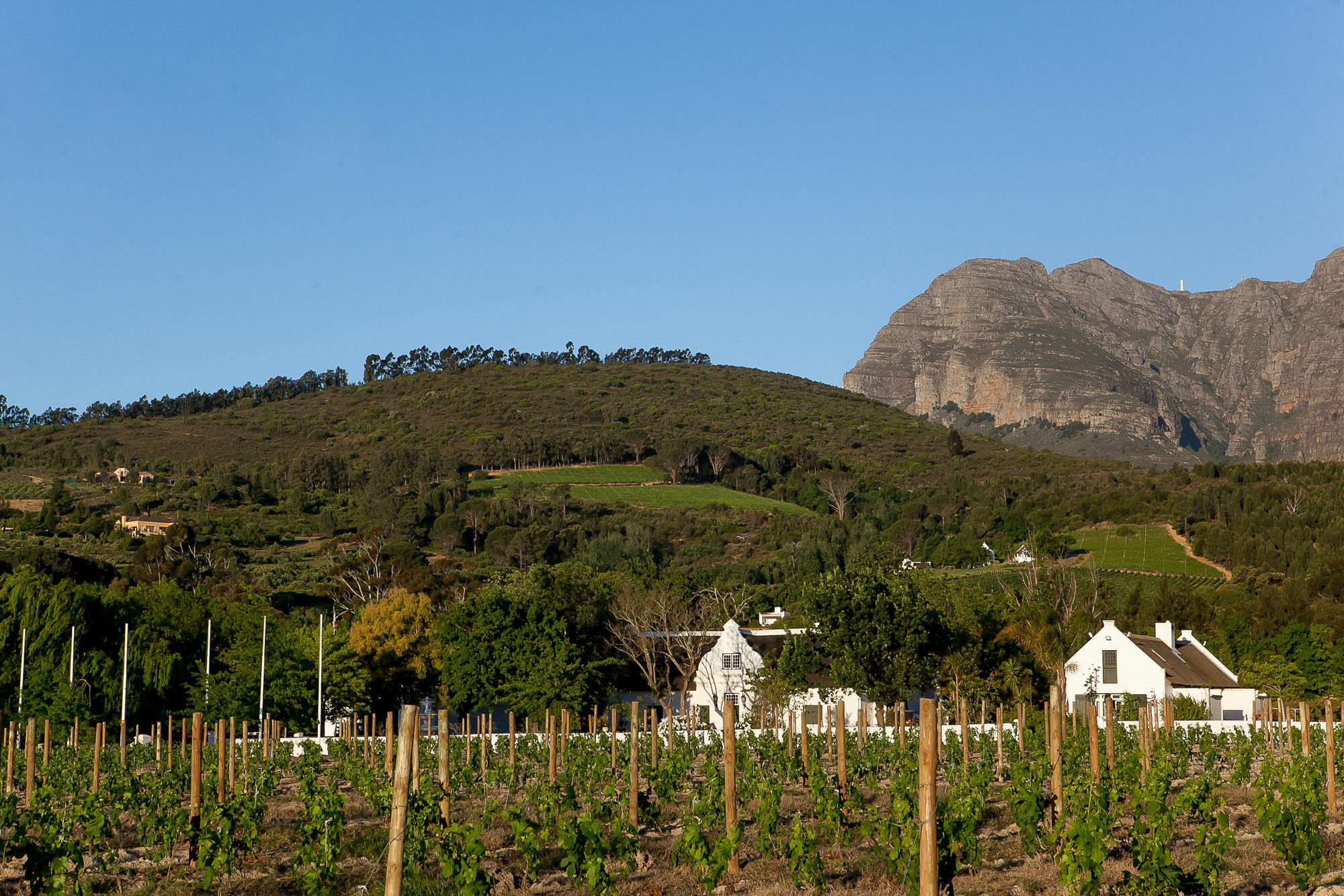 1692 De Kleijne Bos Country House Paarl Bagian luar foto