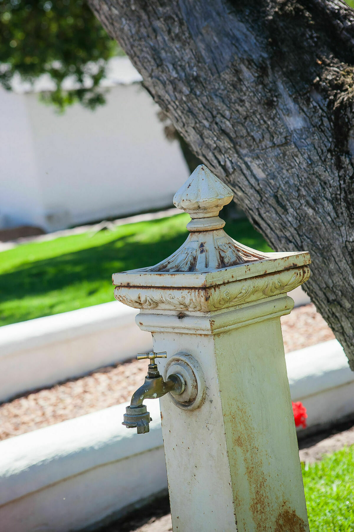 1692 De Kleijne Bos Country House Paarl Bagian luar foto