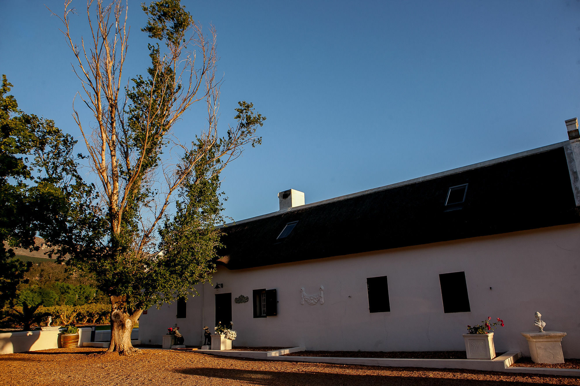 1692 De Kleijne Bos Country House Paarl Bagian luar foto